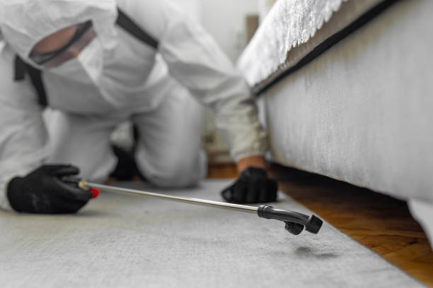 Professional Bed Bug Control technician working in Myerstown, PA